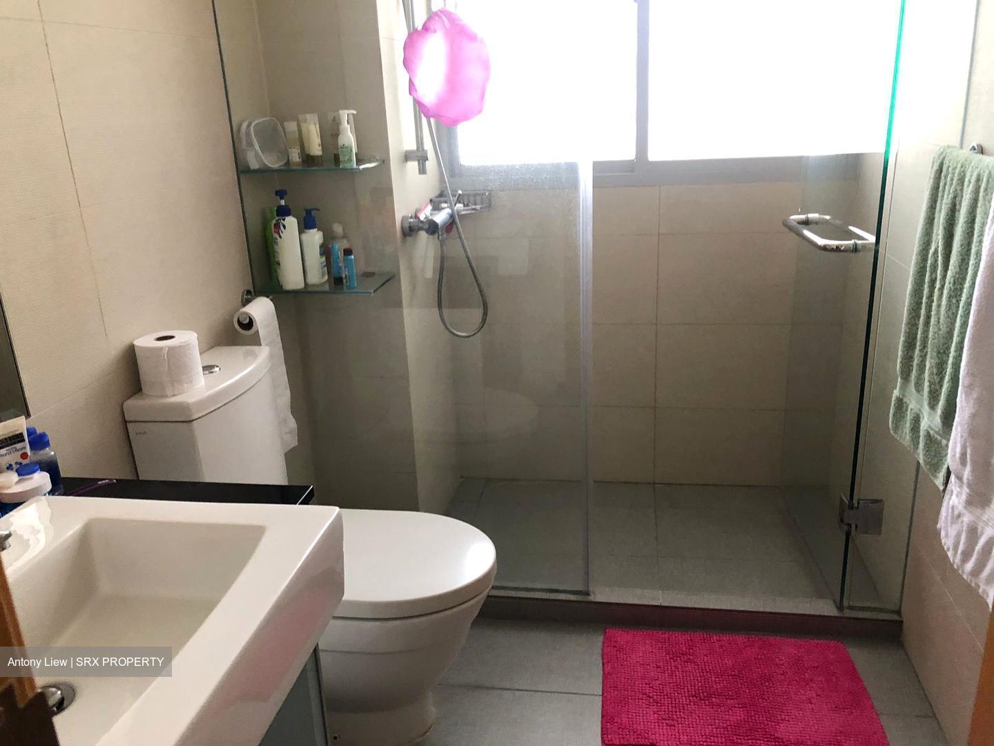 Jalan Lim Tai See (D10), Terrace #454955151